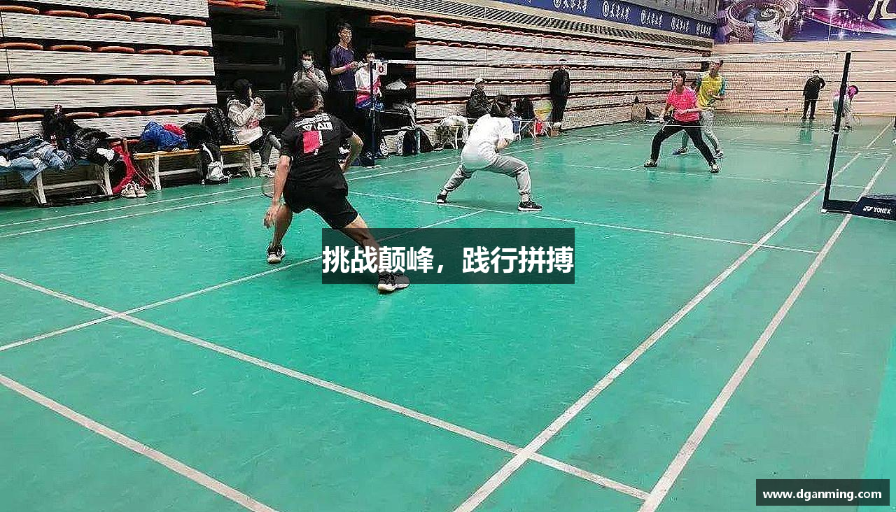 挑战颠峰，践行拼搏